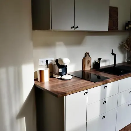 La Filature 1813 Appartamento