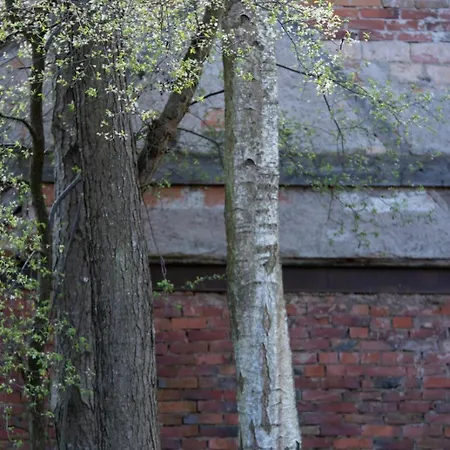 La Filature 1813 Appartamento Wasselonne